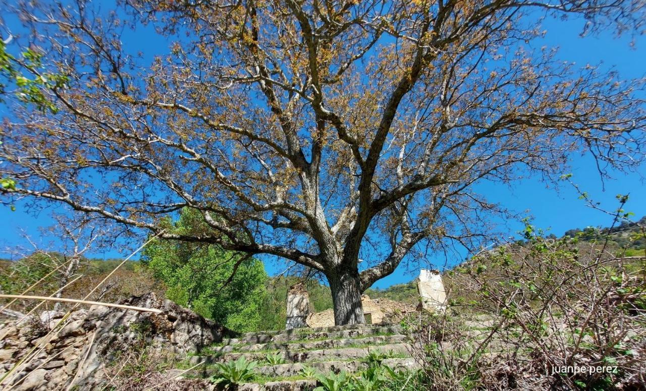 Villa Forastera Arroyo Frío Eksteriør bilde