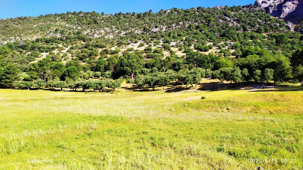 Villa Forastera Arroyo Frío Eksteriør bilde